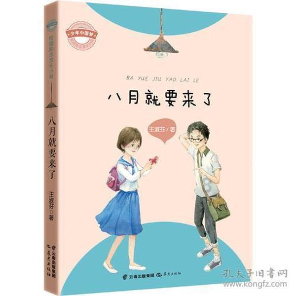 彼得比尔特379拼图